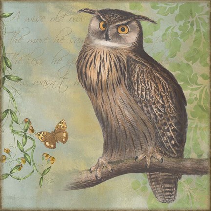 Framed Eagle-Owl Print