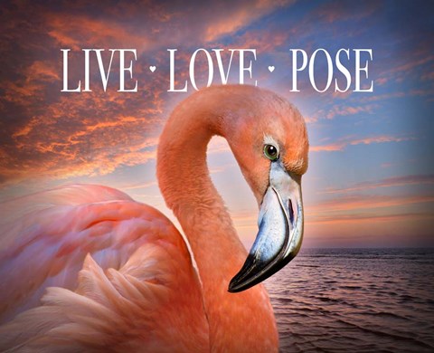 Framed Live Love Pose Print