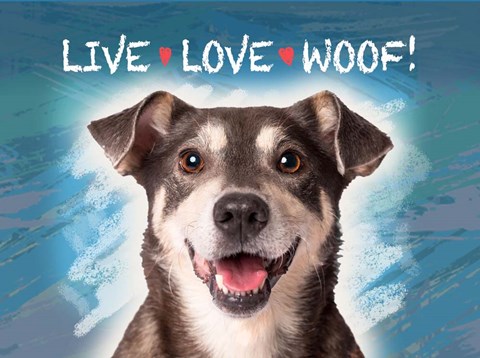Framed Live Love Woof Print