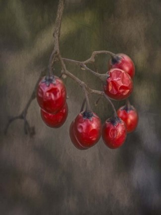 Framed Berries 2 Print