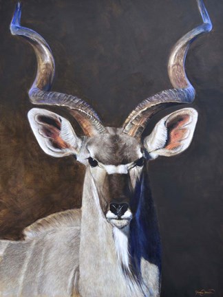 Framed Greater Kudu Print