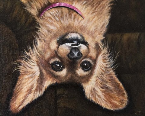 Framed Upsidedown Weinerdog Print