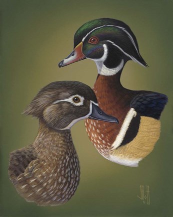 Framed Wood Ducks Print