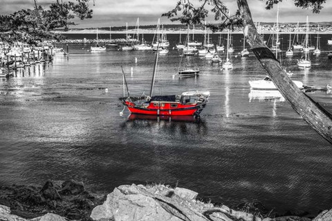 Framed Red Boat Monterey Print
