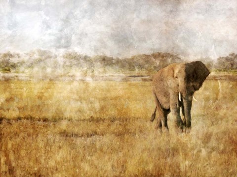 Framed Golden Savanna Elephant Print