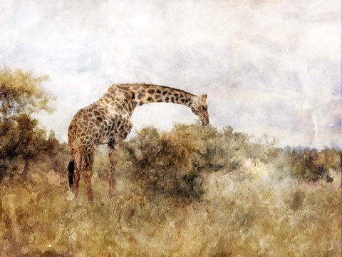 Framed Golden Savanna Giraffe Print
