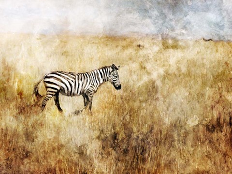 Framed Golden Savanna Zebra Print