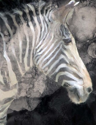 Framed Wistful Zebra Awash Print