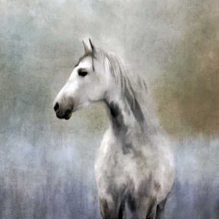 Framed Misty Grey Dappled Horse Print