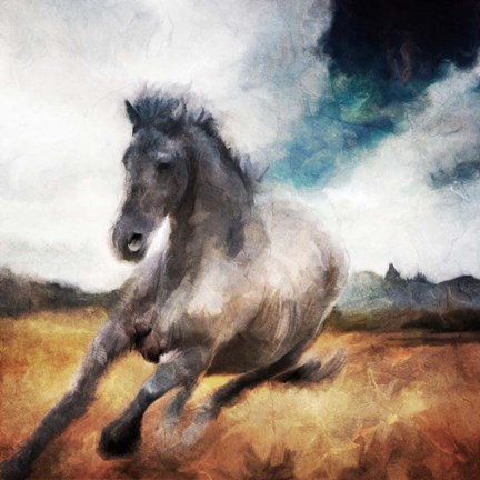 Framed Running Black Horse Print