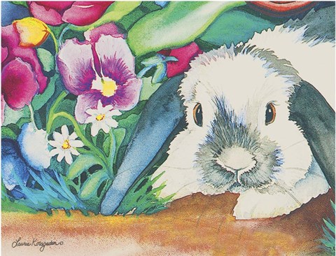 Framed Curious Rabbit Print
