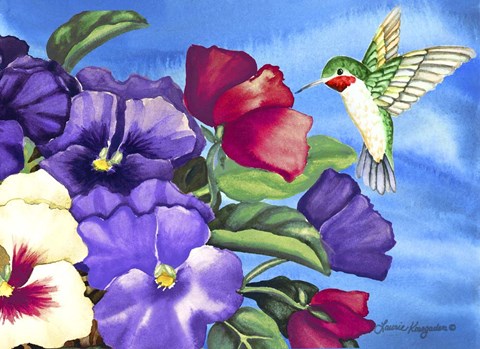 Framed Hummingbird and Pansies Print