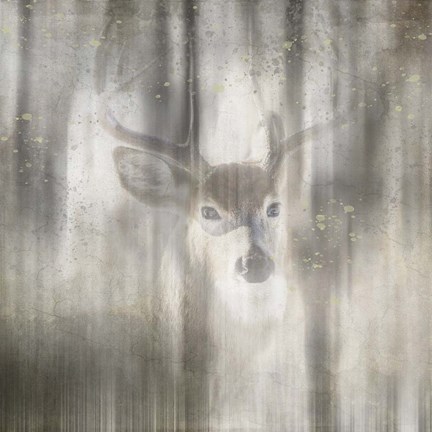Framed Antique Wildlife Deer 01 Print
