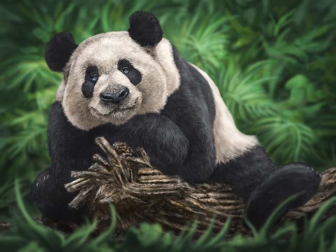 Framed Peaceful Panda Print
