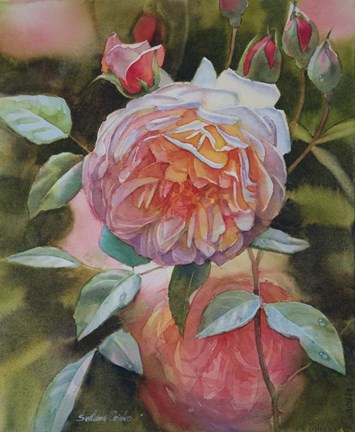 Framed Rose Grace Print