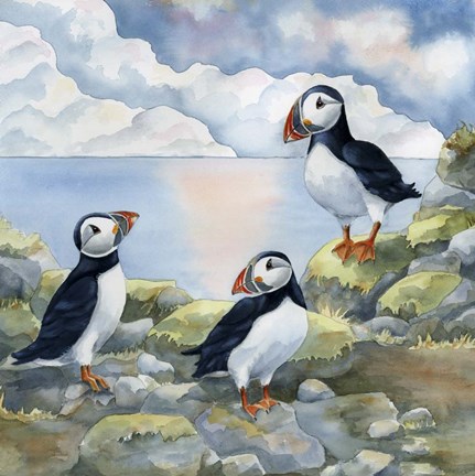 Framed Puffins on Cliff Print