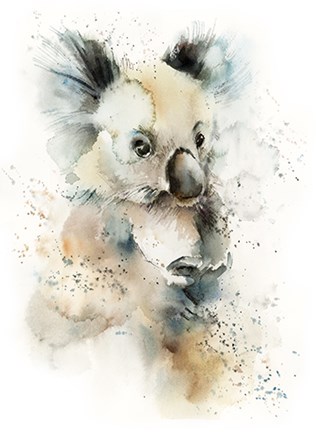 Framed Cool Koala Print