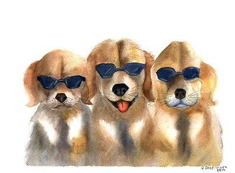 Framed Dogs in Glasses Print