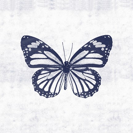 Framed Blue Butterfly III Print