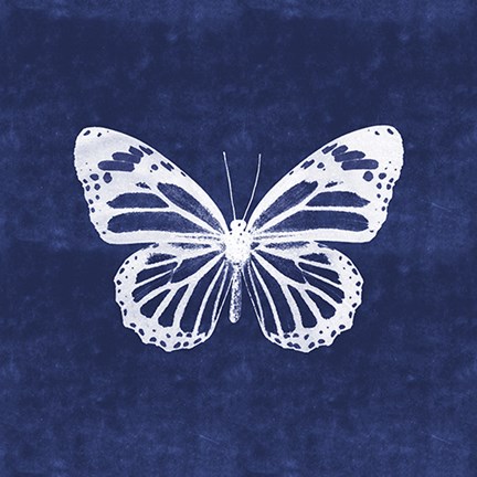 Framed White Butterfly III Print