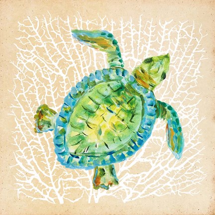 Framed Sealife Turtle Print