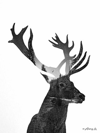 Framed Black &amp; White Elk Print