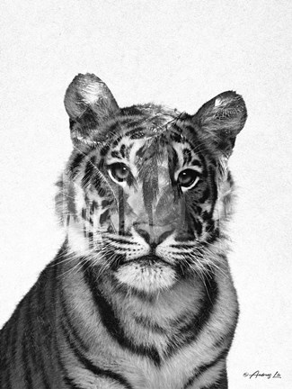 Framed Black &amp; White Tiger Print