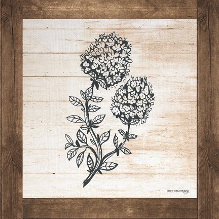 Framed Petals on Planks - Thyme Print