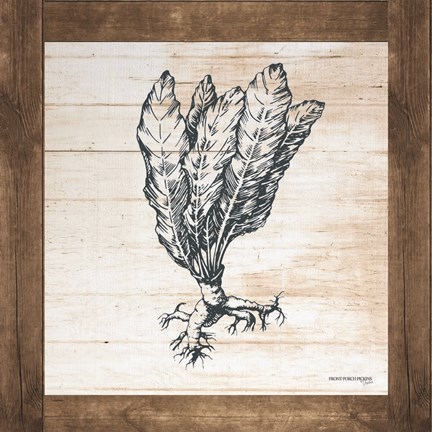 Framed Petals on Planks - Horseradish Print
