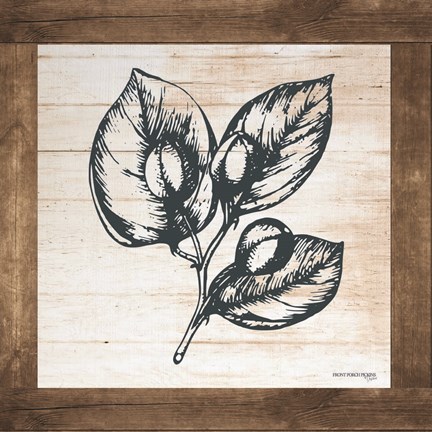 Framed Petals on Planks - Capers Print