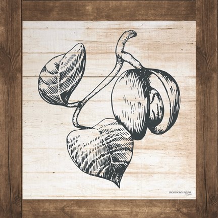 Framed Petals on Planks - Nutmeg Print