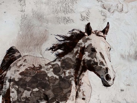 Framed Winner Horse II Print