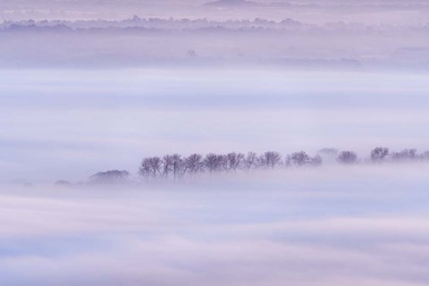 Framed Mist Ripples II Print