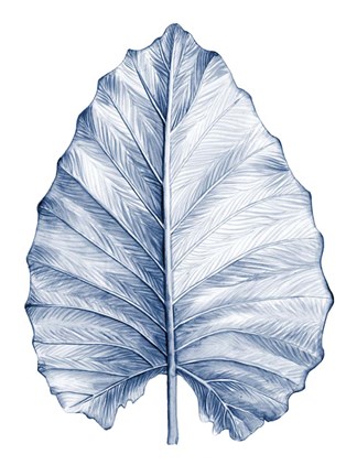 Framed Indigo Tropical Leaves III Print