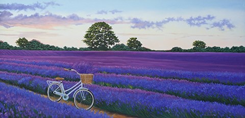Framed Evening Lavender Print