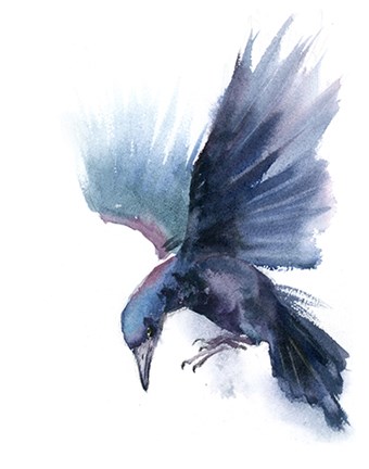Framed Crow I Print