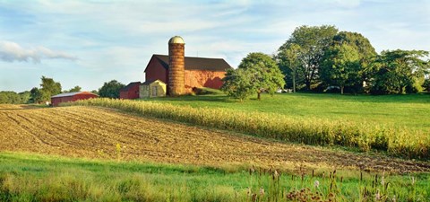 Framed Field With Silo And Barn In The Background, Ohio Print