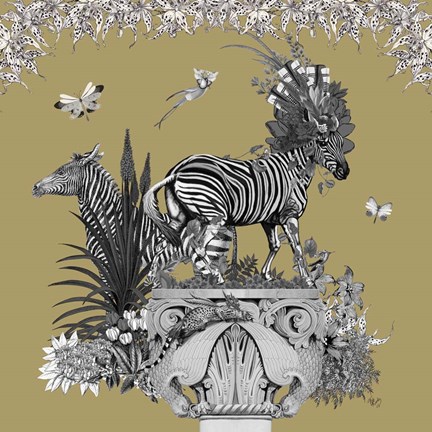 Framed Livoris Feritas Zebra Design, Square Print