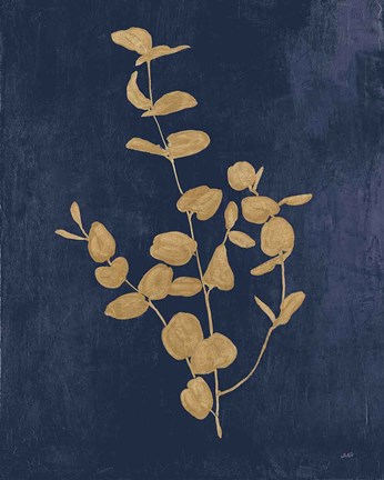 Framed Botanical Study II Gold Navy Print