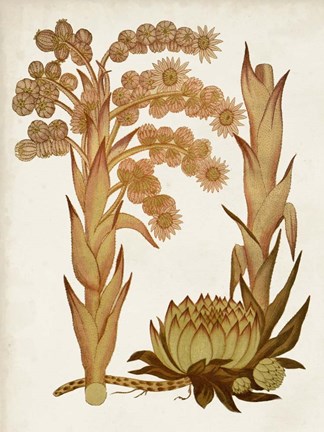Framed Muted Botanicals II Print