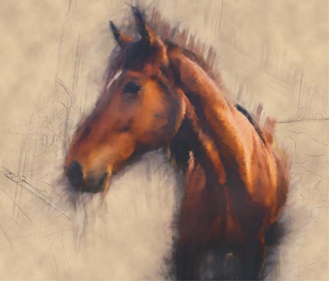 Framed Blended Horse III Print