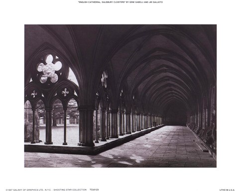Framed Eng. Cathedral Salisbury Cloisters Print