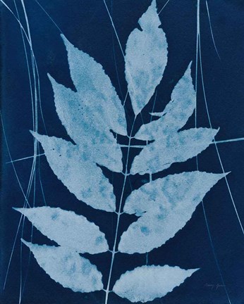 Framed Enchanted Cyanotype IX Print