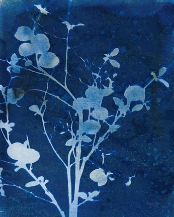 Framed Enchanted Cyanotype VI Print