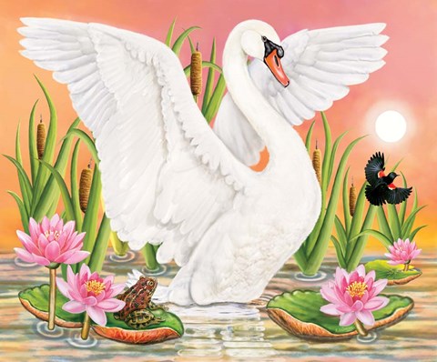 Framed Swan, Frog And Blackbird At Sunset Print