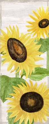 Framed Fall Sunflowers panel II Print