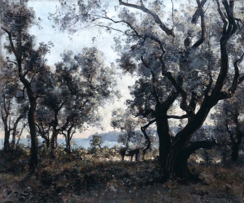 Framed Olive Trees around Cap Martin, 1891 Print