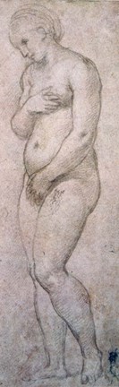 Framed Study of Venus, c1500-1520 Print