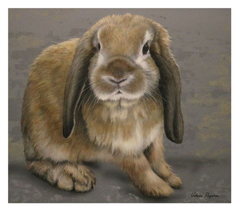 Framed Lop-eared Bunny Print