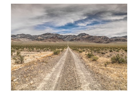 Framed Nevada Road Print